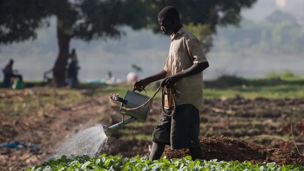 agriculture Tanzania