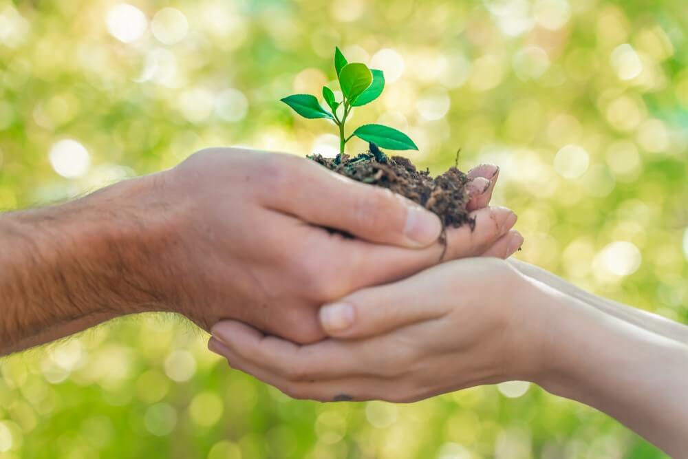 Hands,Holding,Young,Plant,On,Blur,Green,Nature,Background,With