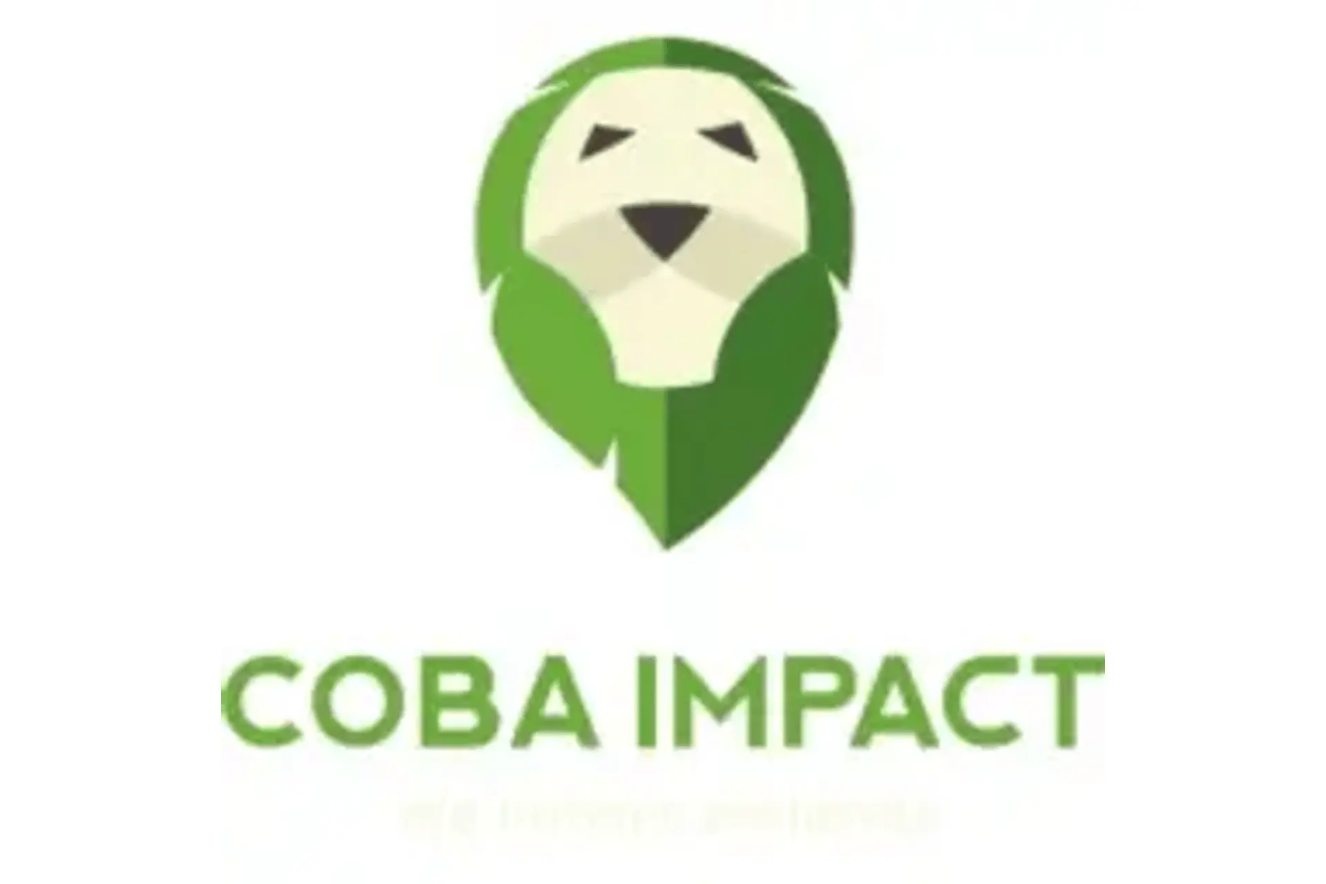 coba-impact-2-41731074067